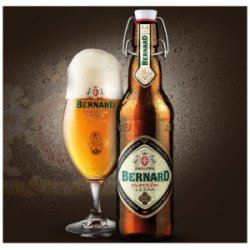 Bernard Family Brewery Celebration Lager (Sváteční ležák) Bernard Family Brewery Celebration Lager (Sváteční ležák)