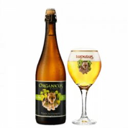 Lupulus Organicus - Belgian Craft Beers