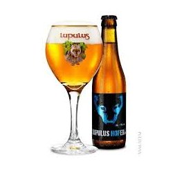 LUPULUS HOPERA 6 ° 33 CL - Rond Point