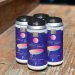 ISM Brewing Coastal Curves 16oz can 
