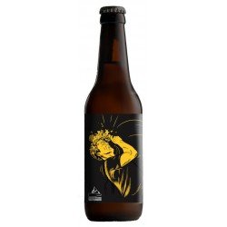 Cerveza Black Patrón - Nao Beer 33cl - CanarianMarket