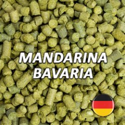 Lúpulo Mandarina Bavaria - Hopsteiner - Silo Cervecero