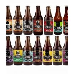 Cerveza 7 Vidas 24 PACK Degustación - Cerveza 7 Vidas