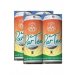 POLLYANNA PAR TEE HAZY AMERICAN PALE ALE 16oz 4PK CANS 