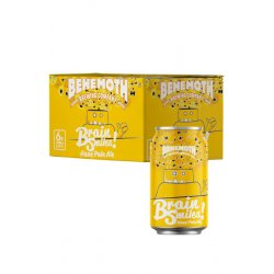 Behemoth Brain Smiles 6 Pack - Temple Cellars