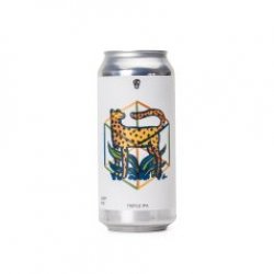 La Pirata Brewing SYMBIOSIS La Pirata Brewing SYMBIOSIS