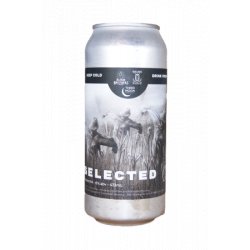 Third Moon Brewing Company  Selected - Brother Beer