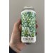 Duration Brewing Turtles All the Way Down Pale Ale 