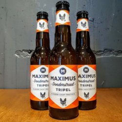 Maximus: Donderstraal Tripel - Little Beershop