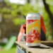 Track Brewing **SALE** Sonoma AF  Alcohol Free Pale Ale  0.5%  24-Pack 