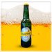 Ottakringer Pils 