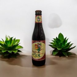 BRUGSE ZOT DUBBEL BOTELLA 330ml - Hidden Beers