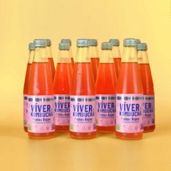 Viver KOMBUCHA FRUTOS ROJOS - Viver Kombucha