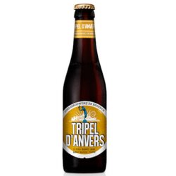 Brouwerij De Koninck Tripel d Brouwerij De Koninck Tripel d