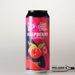 Funky Fluid  Raspberry Sour Ale 50cl Blik - Melgers