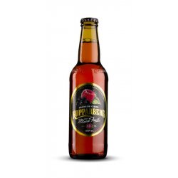 Sidra Kopparberg Fruta Mixta 33 cl. - Abadica