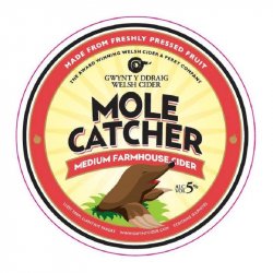 GWYNT Y DDRAIG CIDER Mole Catcher 5.0% - Beer Paradise