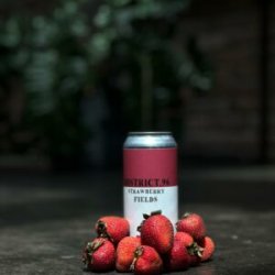 District 96  Strawberry Fields [6% Sour Ale] - Red Elephant