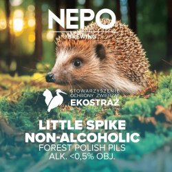 Nepomucen Little Spike Non-Alkoholic 500ml - Funky Fluid