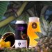 LOA FLOR DE TRUCO (Hazy IPA) 