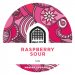 Vault City Raspberry Sour 30L Keg 