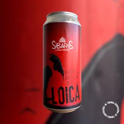Sibaros Brewery Loica Red Ale