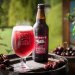 Saxbys Cherry Cider 500ml Bottles 