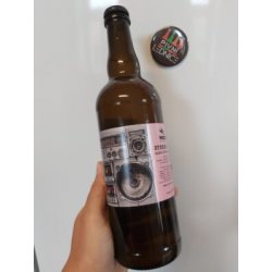 Mazák Stereo IPL SabroSorachi Ace IPL 12°5% 0,7l - Pivní lednice