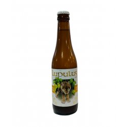 Lupulus BIERE TRIPLE - Cervezas del Mundo