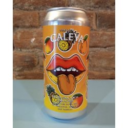 Caleya Fruit Smooch Paradise - La Buena Cerveza