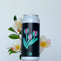 Totopia Brewery Trapphobia