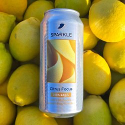 Sparkle ✨ Citrus Focus