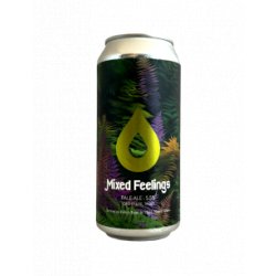 Polly’s - Mixed Feelings Pale Ale 44 cl - Bieronomy