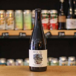 DEYA Brewing Company Meet Me On the Beacon