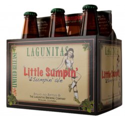 Lagunitas Little Sumpin' Sumpin' Ale 6 pack 12 oz. Can - Kelly’s Liquor