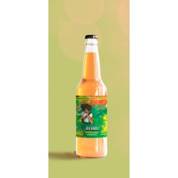 Bierboi PARAISO - Kombucha - 33cl Botella - BierBoi