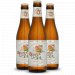 Brugse Zot Sport Zot (24x330ml) Brugse Zot Sport Zot (24x330ml)