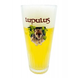 Lupulus Pils - Beer Glass Enthusiast