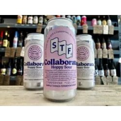 Simple Things Fermentations Hoppy Sour - STF X Campervan