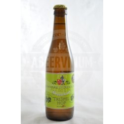 DOude Caert Tripel Hop 33cl - AbeerVinum