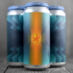 Orange Starfish, Aslin Beer Company - Nisha Craft