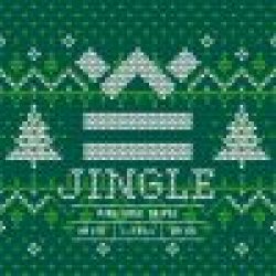 De Werf  JINGLE Pine Tree Tripel - Holland Craft Beer