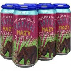 Anderson Valley Tropical Hazy Sour Ale 12oz 6pk Cn - Luekens Wine & Spirits