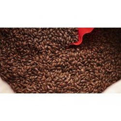 Weyermann CARAFA Malt Type II - BO PIVO