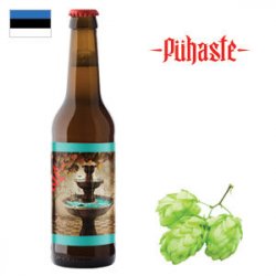 Puhaste  Vulin - Bierwinkel de Verwachting