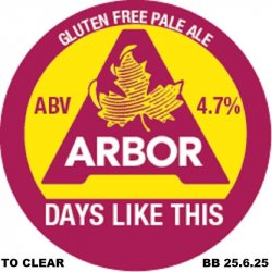 Arbor Ales Days Like This