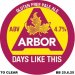 ARBOR ALES Days Like This GF (E-KEG) 4.7&percnt; 