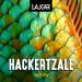 HACKERTZALE HAZY IPA (LAUGAR) 