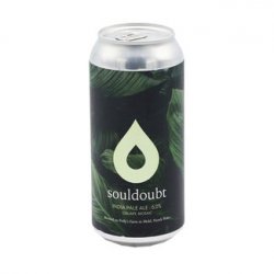 Polly's Brew Co. - Souldoubt - Bierloods22