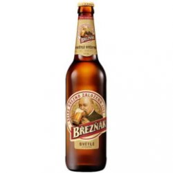 Březňák Světlé Výčepní Pale Draft Beer 500ml - Pivana CZ